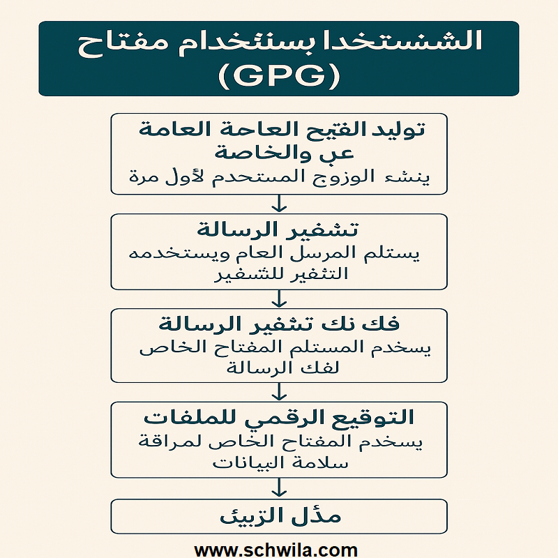 GPG: كيفية حماية بياناتك عبر التشفير المفتوح