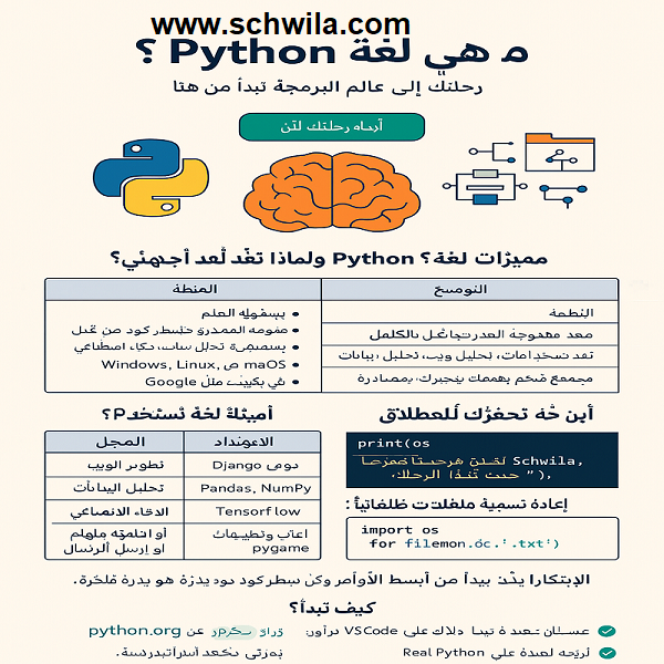 ما هي لغة Python؟