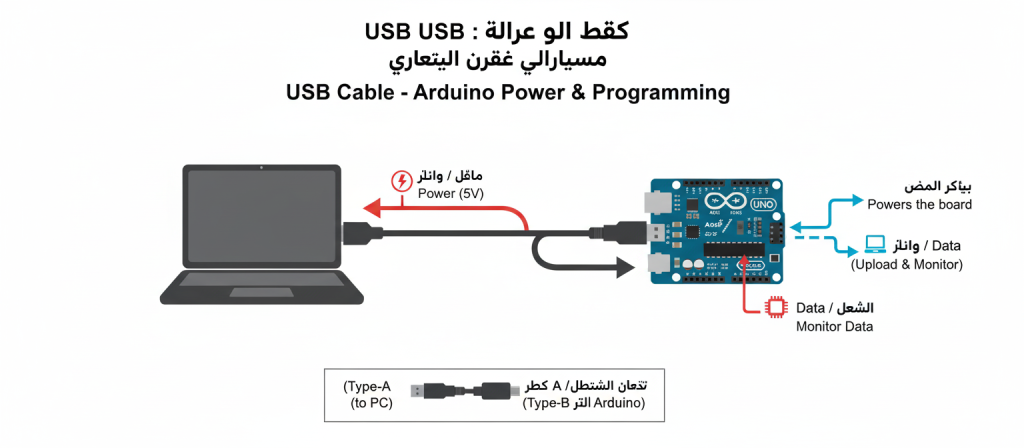 عادةً ما تستخدم لوحة الأردوينو أونو (كما في الصورة) كابلاً من نوع USB A to B (طرف A يذهب للكمبيوتر، وطرف B المربع يذهب للأردوينو). تأكد دائماً من أن الكابل سليم وذو جودة عالية لضمان استقرار الاتصال ونقل الطاقة بشكل صحيح.